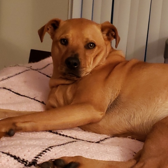 Meet your Posher, Heather - Picture 1 of 1